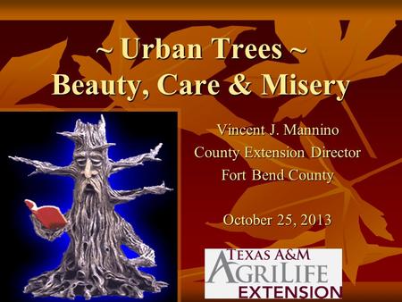 ~ Urban Trees ~ Beauty, Care & Misery