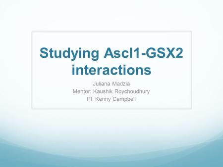 Studying Ascl1-GSX2 interactions