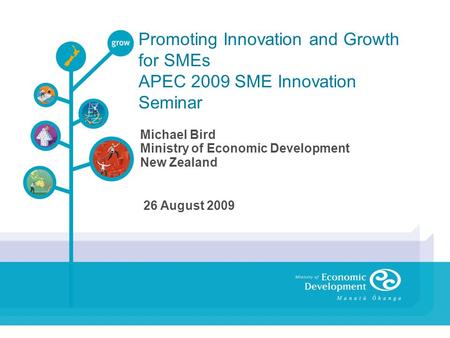 Promoting Innovation and Growth for SMEs APEC 2009 SME Innovation Seminar Michael Bird Ministry of Economic Development New Zealand 26 August 2009.