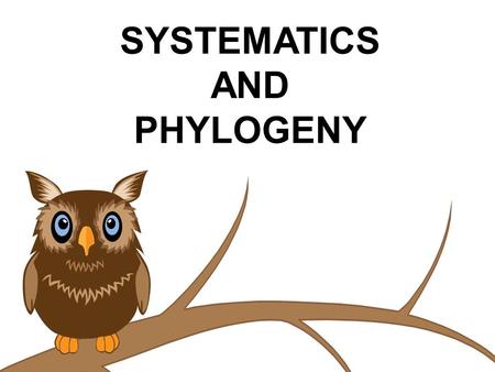 SYSTEMATICS AND PHYLOGENY.