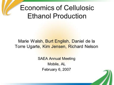 Economics of Cellulosic Ethanol Production Marie Walsh, Burt English, Daniel de la Torre Ugarte, Kim Jensen, Richard Nelson SAEA Annual Meeting Mobile,