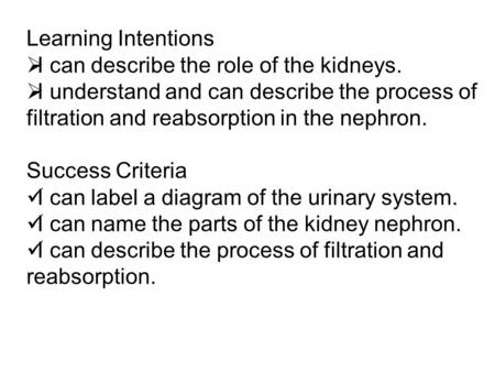 Learning Intentions  I can describe the role of the kidneys.  I understand and can describe the process of filtration and reabsorption in the nephron.