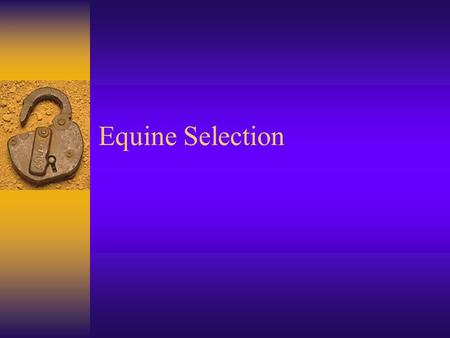 Equine Selection. Objective 18.0  Explain skills necessary to make wise selection of equine.