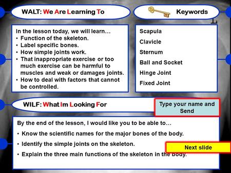 WALT: We Are Learning To In the lesson today, we will learn… Function of the skeleton. Label specific bones. How simple joints work. That inappropriate.