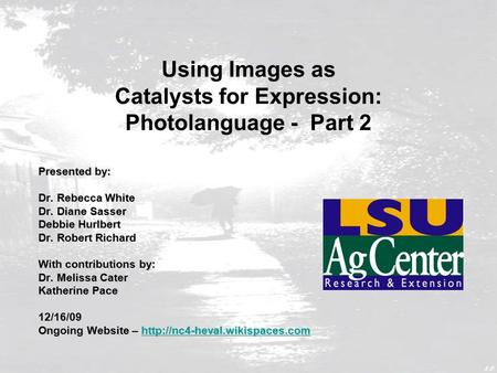 Using Images as Catalysts for Expression: Photolanguage - Part 2 Presented by: Dr. Rebecca White Dr. Diane Sasser Debbie Hurlbert Dr. Robert Richard With.