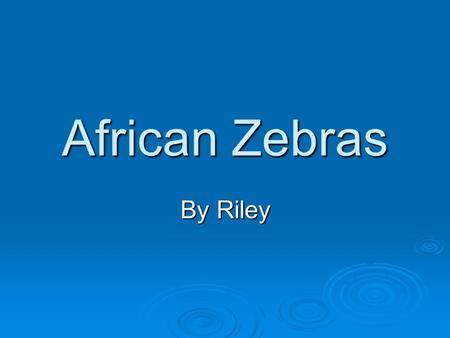 African Zebras By Riley Habitat  Found in East Africa  Live in woodlands and plains mainly on grasslands  thousands members in migrating herds.