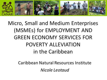 Micro, Small and Medium Enterprises (MSMEs) for EMPLOYMENT AND GREEN ECONOMY SERVICES FOR POVERTY ALLEVIATION in the Caribbean Caribbean Natural Resources.