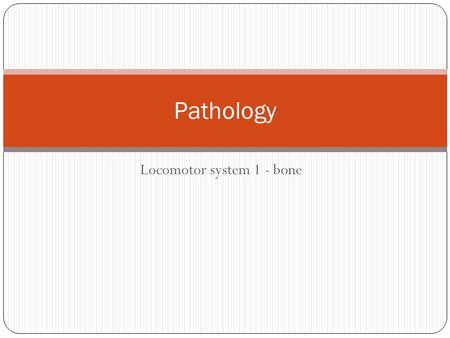 Locomotor system 1 - bone Pathology. Achondroplasia See the short and disproportionately thick bones.