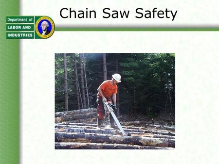 Chain Saw Safety. Chain Saw Injuries There were over 28,500* chain saw injuries in 1999 according to the U.S. Consumer Products Safety Commission. The.