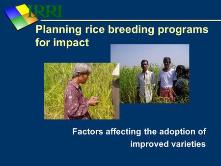 Planning rice breeding programs for impact Factors affecting the adoption of improved varieties.