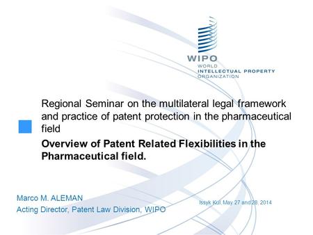 Regional Seminar on the multilateral legal framework and practice of patent protection in the pharmaceutical field Overview of Patent Related Flexibilities.