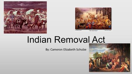 Indian Removal Act By: Cameron Elizabeth Schulze.