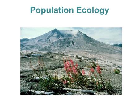 Population Ecology. Descriptions and Characterizations of Populations How can we describe populations? 1. Occupying niche 2. Distribution pattern 3.Survivorship.