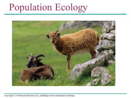 Copyright © 2008 Pearson Education, Inc., publishing as Pearson Benjamin Cummings Population Ecology.