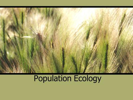 Population Ecology. 3 Fundamental Characteristics of a Population Density-number of individuals per unit area or volume Dispersion-pattern of spacing.