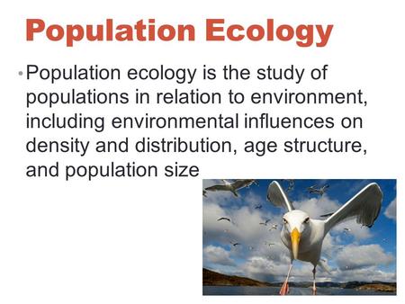 Population Ecology Population ecology is the study of populations in relation to environment, including environmental influences on density and distribution,