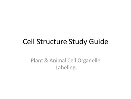 Cell Structure Study Guide