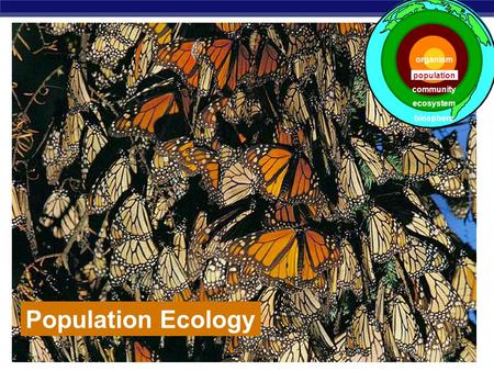 AP Biology Population Ecology population ecosystem community biosphere organism.