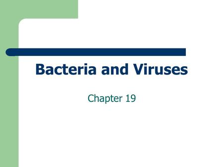 Bacteria and Viruses Chapter 19.
