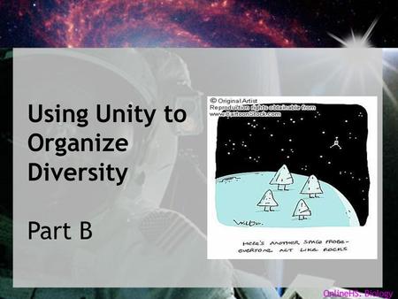 Using Unity to Organize Diversity Part B. Objectives... In the last presentation, we grouped a variety of nuts and bolts into classification trees. In.