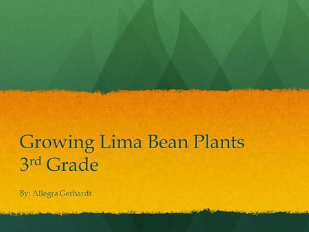 Growing Lima Bean Plants 3 rd Grade By: Allegra Gerhardt.