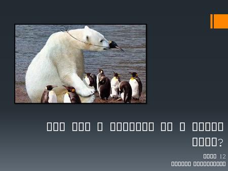Are you a penguin or a polar bear ? Unit 12 Social Psychology.