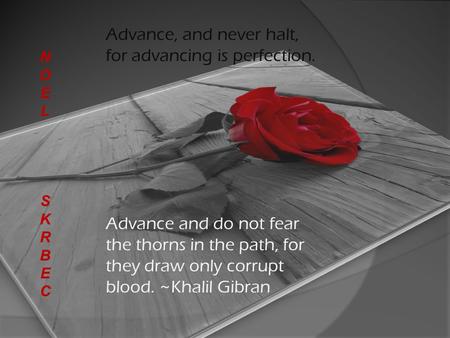 Advance, and never halt, for advancing is perfection. Advance and do not fear the thorns in the path, for they draw only corrupt blood. ~Khalil Gibran.