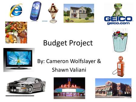 Budget Project By: Cameron Wolfslayer & Shawn Valiani.