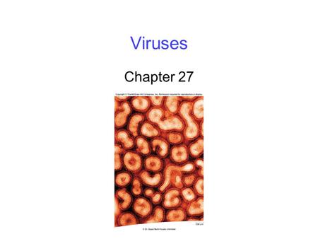 Viruses Chapter 27. 2 Nature of Viruses All viruses have same basic structure -Nucleic acid core surrounded by capsid Nucleic acid can be DNA or RNA;