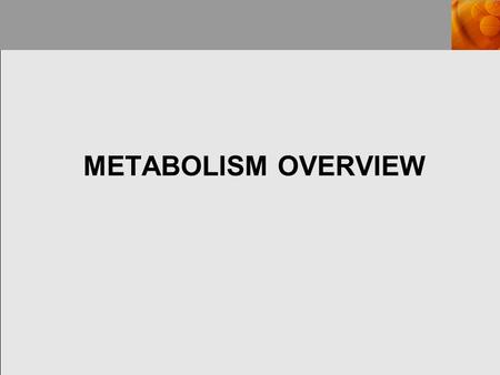 METABOLISM OVERVIEW. METABOLISM The sum of all reactions occurring in an organism, includes: catabolism, which are the reactions involved in the breakdown.