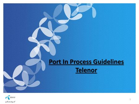 Port In Process Guidelines