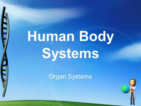 Human Body Systems Organ Systems. MAJOR FUNCTIONS: 1. Provide shape & support 2. Allows for movement 3.Protects tissue & organs 4.Stores certain minerals.