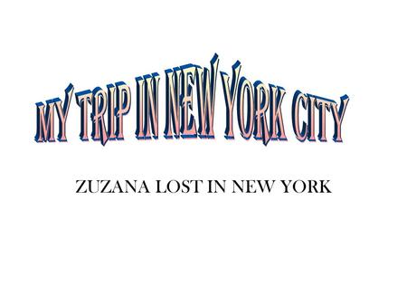 ZUZANA LOST IN NEW YORK. PANORAMA OF NY-PICTURE IS TAKEN FROM MEMA’S CAR My last day with you and I slept the whole way to NY. Shame on me!