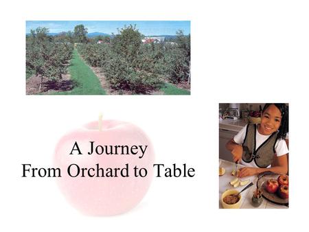 A Journey From Orchard to Table. The Journey from Orchard to Table Brought to you by: