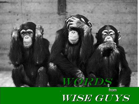 Words. from Wise Guys. Heroes…. Who Should We Look Up To?
