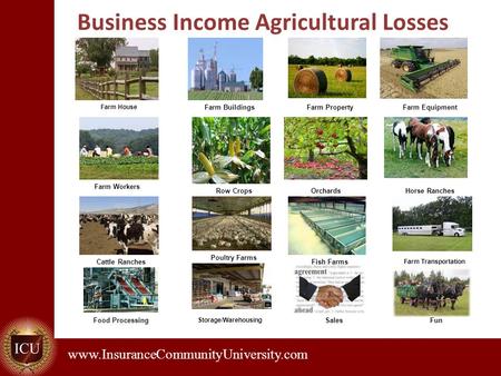. www.InsuranceCommunityUniversity.com Business Income Agricultural Losses Farm House Farm BuildingsFarm PropertyFarm Equipment Farm Workers Row CropsOrchardsHorse.