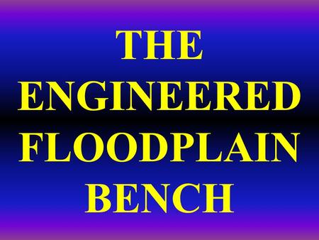 THE ENGINEERED FLOODPLAIN BENCH. Conceptually, for an incised system you can: raise the stream, lower the floodplain, or a little of both Lower either.