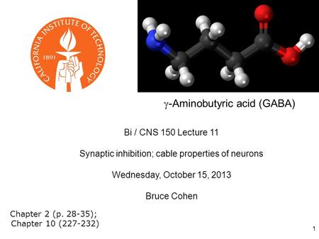 1 Bi / CNS 150 Lecture 11 Synaptic inhibition; cable properties of neurons Wednesday, October 15, 2013 Bruce Cohen Chapter 2 (p. 28-35); Chapter 10 (227-232)