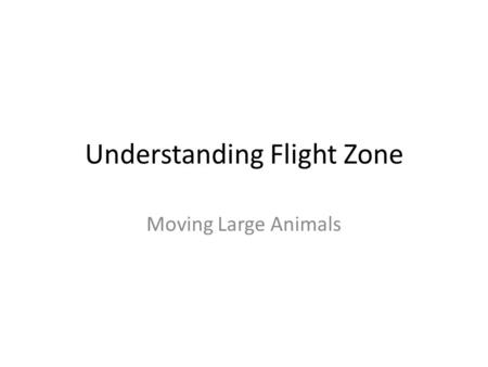 Understanding Flight Zone