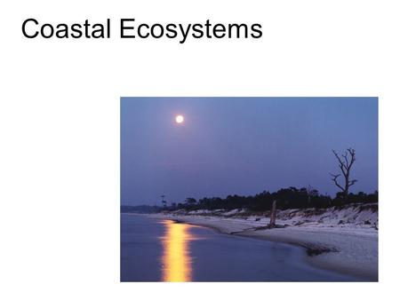 Coastal Ecosystems. The most important coastal systems are beaches and coastal dunes. These are important ecosystems in their own right, but also serve.