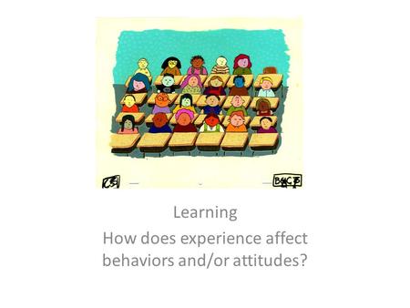 Learning How does experience affect behaviors and/or attitudes?