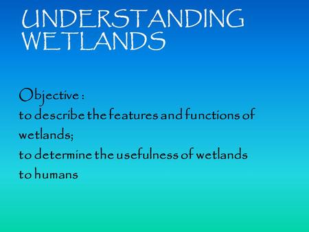 UNDERSTANDING WETLANDS Objective : to describe the features and functions of wetlands; to determine the usefulness of wetlands to humans.
