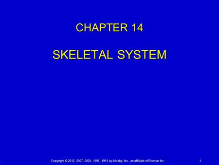 CHAPTER 14 SKELETAL SYSTEM