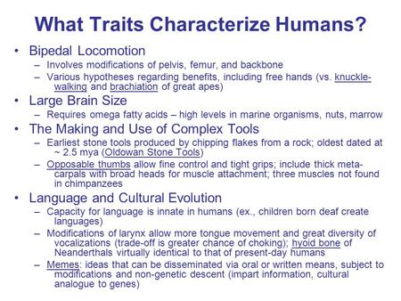 What Traits Characterize Humans?