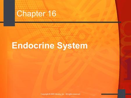 1 Copyright © 2005 Mosby, Inc. All rights reserved. Chapter 16 Endocrine System.