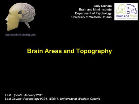 Brain Areas and Topography  Last Update: January 2011 Last Course: Psychology 9224, W2011, University of Western Ontario Jody.