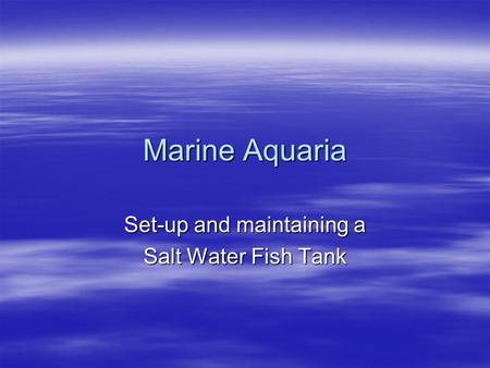 Marine Aquaria Set-up and maintaining a Salt Water Fish Tank.