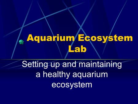 Aquarium Ecosystem Lab
