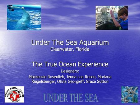 presentation about underwater hotel