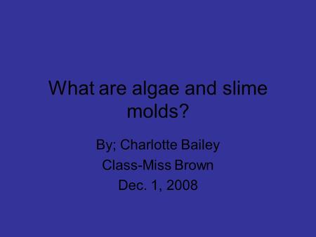 What are algae and slime molds? By; Charlotte Bailey Class-Miss Brown Dec. 1, 2008.